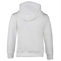 Ambique Hoodie Nick