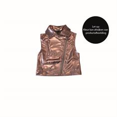 Dutch Dream Denim FW24-04 MET. PNK
