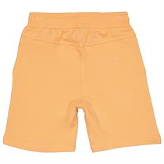 Quapi QS254FIEBE